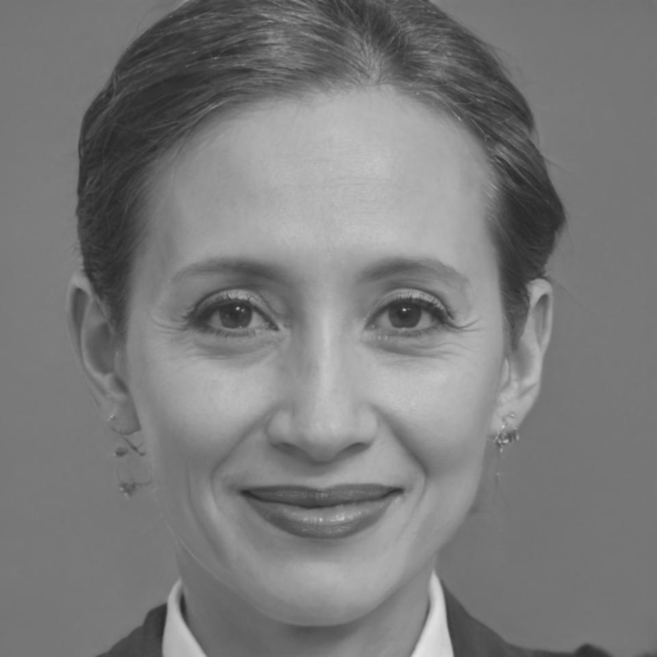 Partner representative